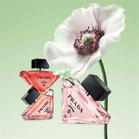 paradoxe dior|prada paradoxe virtual floral perfume.